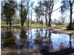 TOSQUERAS, EXTRACCIÓN DE RIQUEZA, LAGUNAS Y BASURA TOSQUERAS, EXTRACCIÓN DE RIQUEZA, LAGUNAS Y BASURA